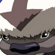 member APPA